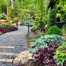 Landscape Ideas