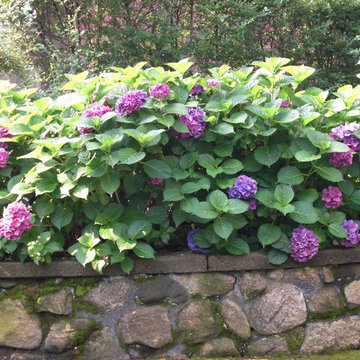 Garden Design