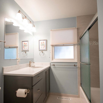 Small Bathroom with Grab Bars