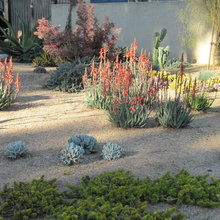 Corfu Front Yards