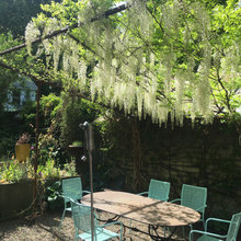 Edmonton Garden
