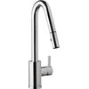 Danze D457230 Amalfi 1.75 GPM 1 Hole Pull Down Kitchen Faucet - Chrome