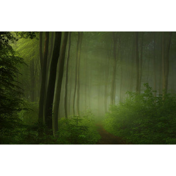 "Maier - Forest Morning" Fine Art Giant Canvas Print, 48"x72"