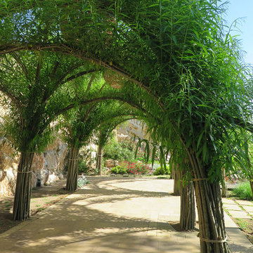 Pergola de sauces vivos / Living Willow Pergola