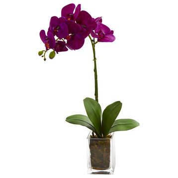 24" Orchid Phalaenopsis Artificial Arrangement in Vase, Mauve