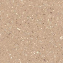 Corian&reg; Acorn has a rich yet neutral sandstone base, with large light specks. - Products