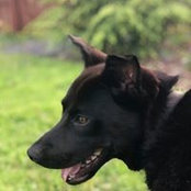 Foto von Bo Drago