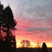 Tam F's photo