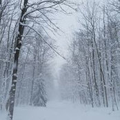 Jeff Freier's photo