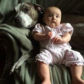 Julie O'Malley White's photo
