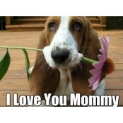 Christy Murphy's photo