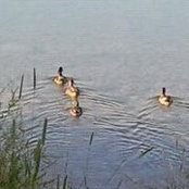 Foto von Judz Garc