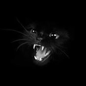 Greg van Splunder's photo
