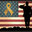 Veteran Landscape LLC