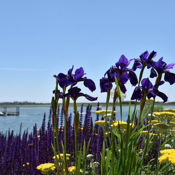 Seaside garden in Rhode Island