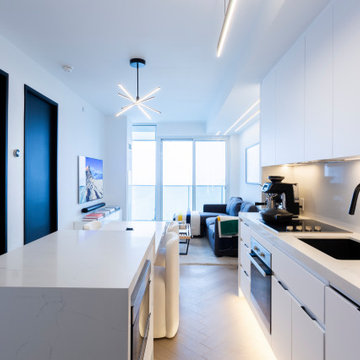Modern Minimalist Urban Condo