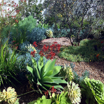 Amazing Coastal Color