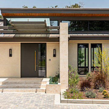 California Modern Entry Door