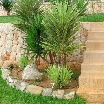 Marès Kalkstein von Mallorca - ein Stück Urlaubsfeeling für Zuhause