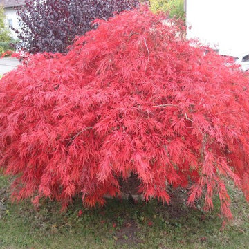 Gartenbau
