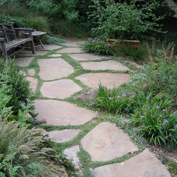 A Piedmont garden