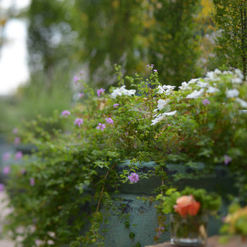 Healing Garden
