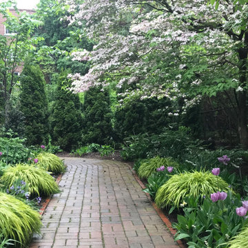 A glade of flowers replaces a Cambridge front lawn