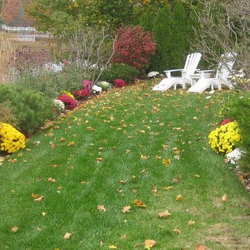 Autumn colors along the river