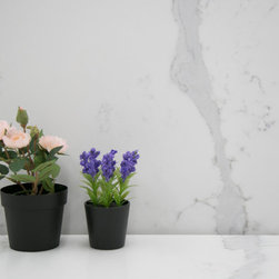 Calacatta Luxe - Products