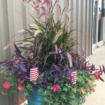 Summer Container Gardens