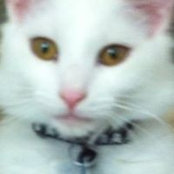 Barbara Chambers's photo