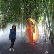 Tina Suarezさんの写真