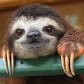 Kristel Hsiao's photo