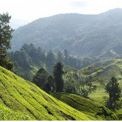 Foto de Murali Gubbala