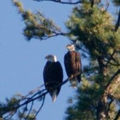 Shawn Pilson's photo