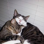 Melissa Maxwell McCallum's photo