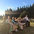 joanne_levesque76