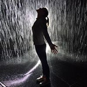 Marjorie Wilkinson's photo