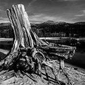 Daron Estrada's photo