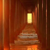 Peter Landsheft's photo