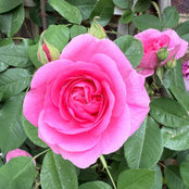 Sunita Kumar's photo