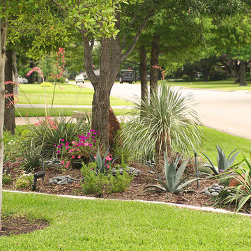 Water Efficient Landscape Renovation