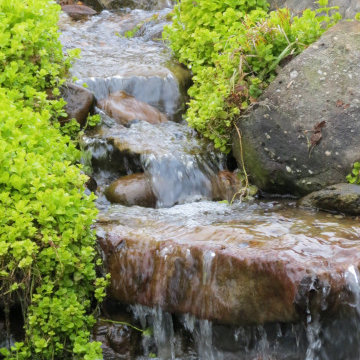 Water features