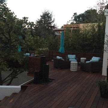 Modern IPE backyard - Santa Monica