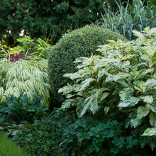 garden ideas
