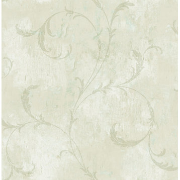 Delicate Scrolls Wallpaper in Sage VA10404 from Wallquest