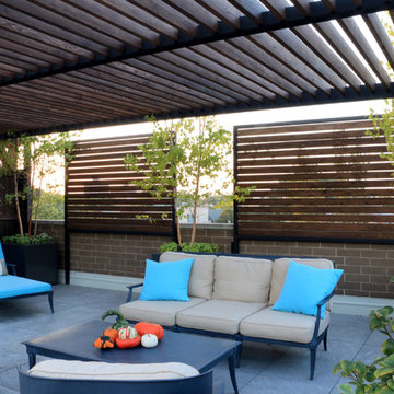 Contemporary Lakeview Roof Deck