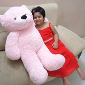 Mohammad Tauhid's photo
