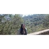 Foto von Nisha Shylesh