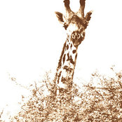 Foto von beccakay